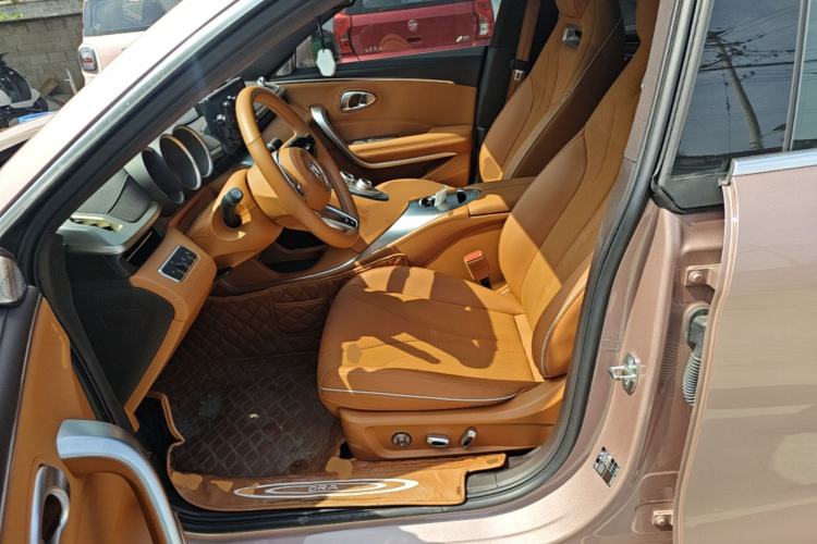 Used ORA Lightning Cat 2022 555 km Luxury Edition Left Front Seat