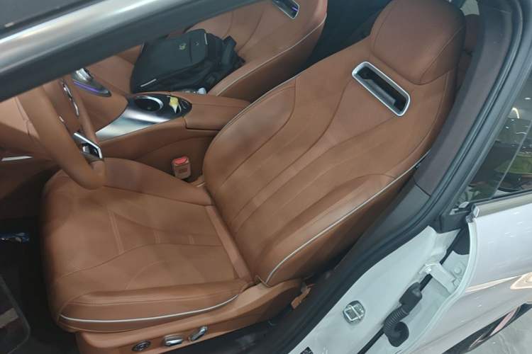Used ORA Lightning Cat 2022 555 km Luxury Edition Left Front Seat