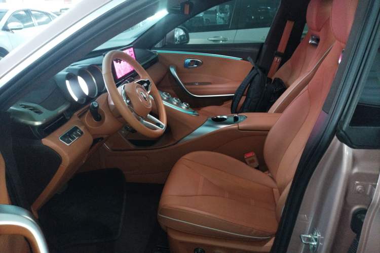 Used ORA Lightning Cat 2022 555 km Luxury Edition Left Front Seat