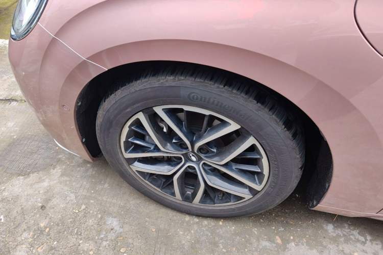 Used ORA Lightning Cat 2022 555 km Luxury Edition Left Front Wheel Hub