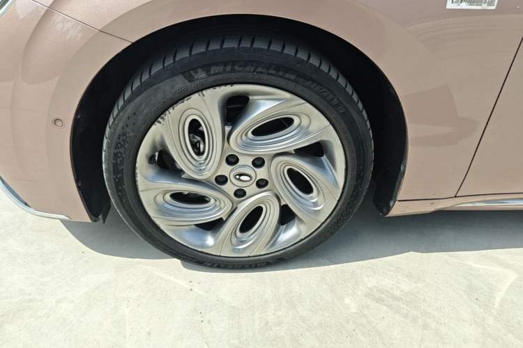 Used ORA Lightning Cat 2022 555 km Luxury Edition Left Front Wheel Hub