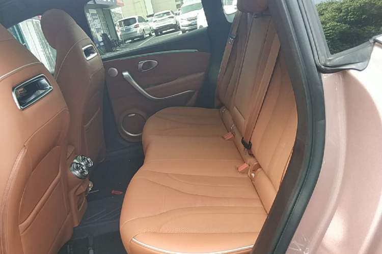 Used ORA Lightning Cat 2022 600 km All-Wheel Drive High-Performance Version Left Rear Seat