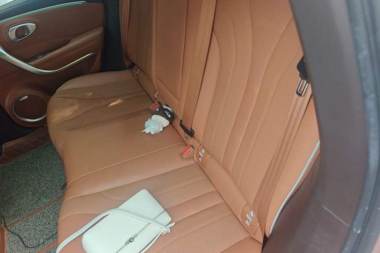 Used ORA Lightning Cat 2022 555 km Luxury Edition Left Rear Seat