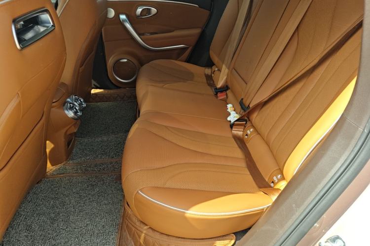 Used ORA Lightning Cat 2022 555 km Luxury Edition Left Rear Seat