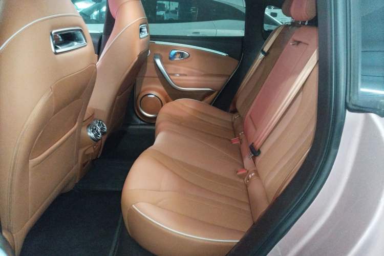 Used ORA Lightning Cat 2022 555 km Luxury Edition Left Rear Seat
