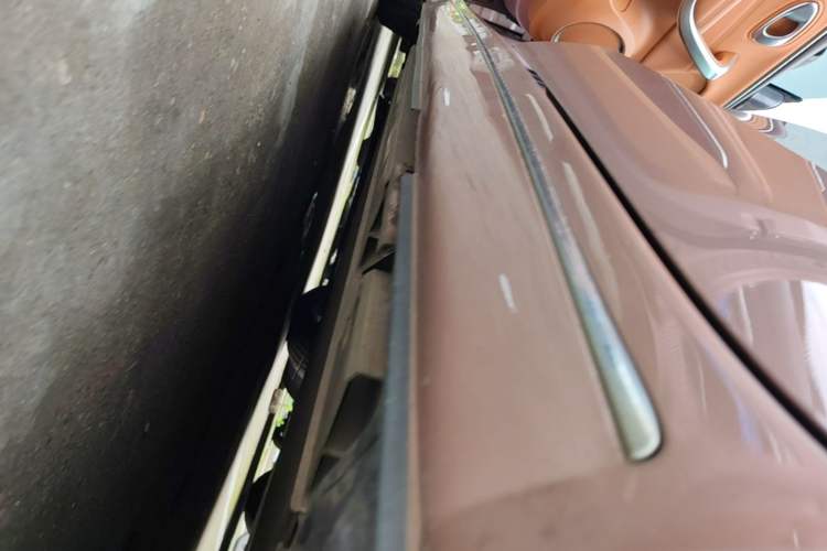 Used ORA Lightning Cat 2022 555 km Luxury Edition Left Side Sill