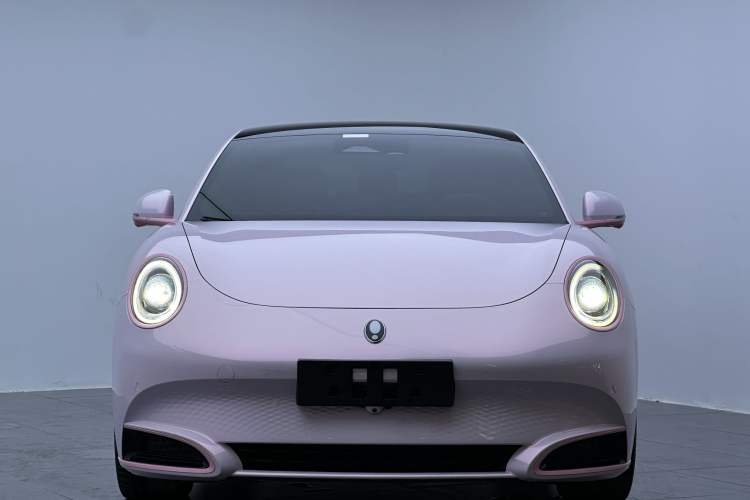 Used ORA Lightning Cat 2022 555 km Luxury Edition Exterior 1