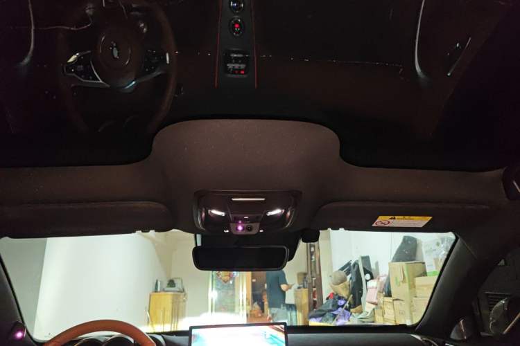 Used ORA Lightning Cat 2022 600 km All-Wheel Drive High-Performance Version Headliner