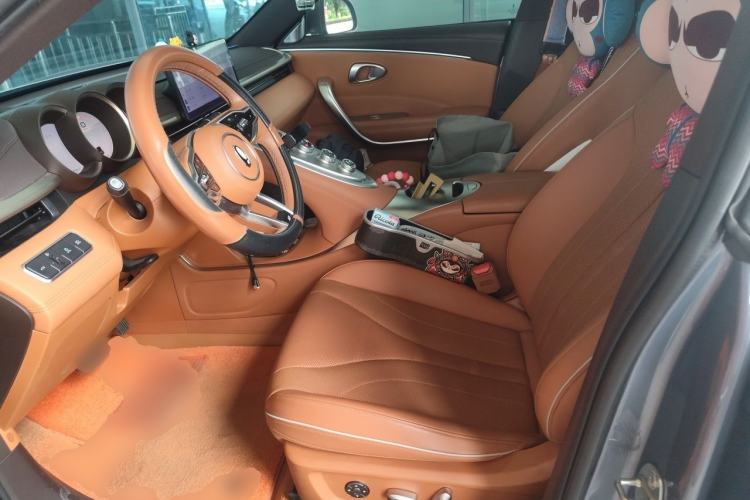 Used ORA Lightning Cat 2022 555 km Luxury Edition Left Front Seat