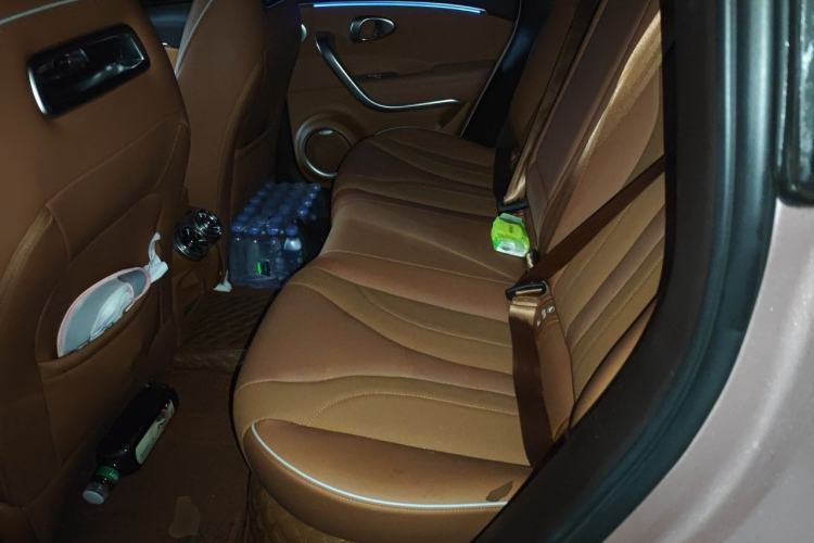 Used ORA Lightning Cat 2022 600 km All-Wheel Drive High-Performance Version Left Rear Seat