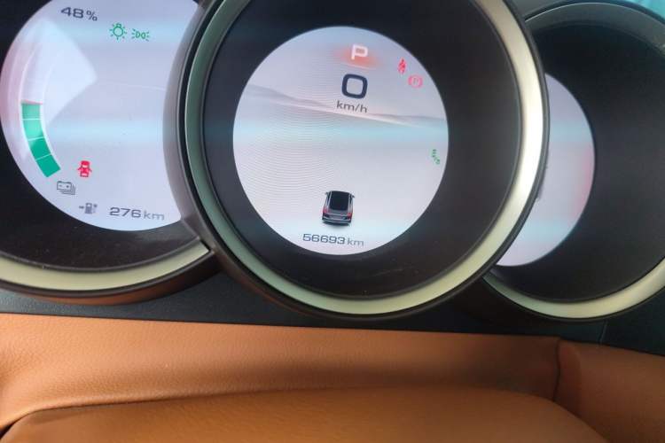 Used ORA Lightning Cat 2022 555 km Luxury Edition Odometer Close Up