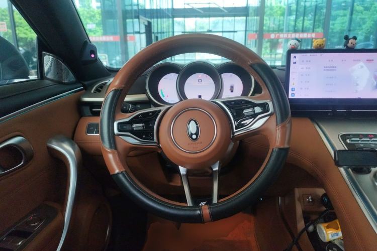 Used ORA Lightning Cat 2022 555 km Luxury Edition Steering Wheel
