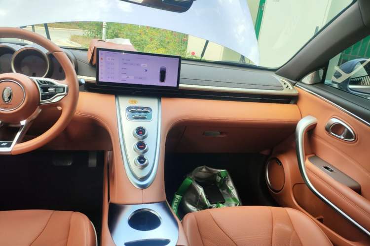 Used ORA Lightning Cat 2022 555 km Luxury Edition Audio And AC Panel