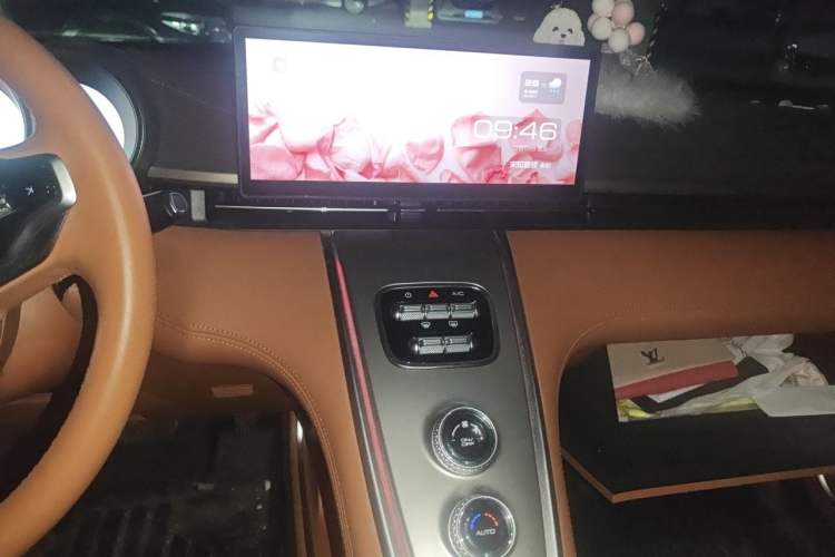 Used ORA Lightning Cat 2022 555 km Luxury Edition Audio And AC Panel