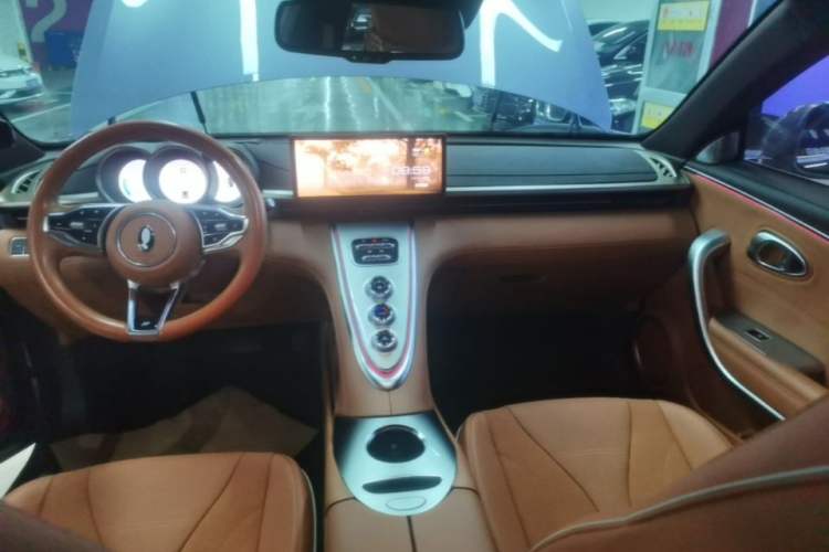 Used ORA Lightning Cat 2022 555 km Luxury Edition Audio And AC Panel