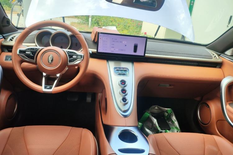 Used ORA Lightning Cat 2022 555 km Luxury Edition Center Console