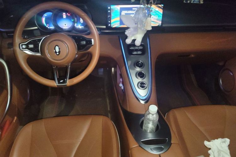 Used ORA Lightning Cat 2022 555 km Luxury Edition Center Console