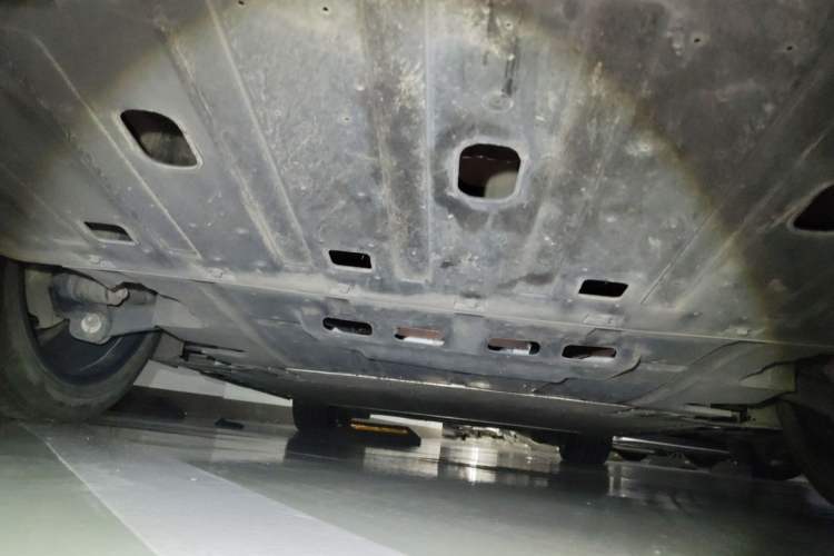 Used ORA Lightning Cat 2022 555 km Luxury Edition Chassis Rear