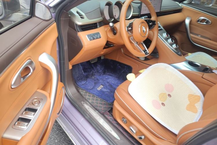 Used ORA Lightning Cat 2022 555 km Luxury Edition Driver Seat