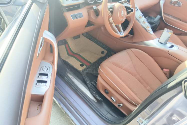 Used ORA Lightning Cat 2022 555 km Luxury Edition Driver Seat