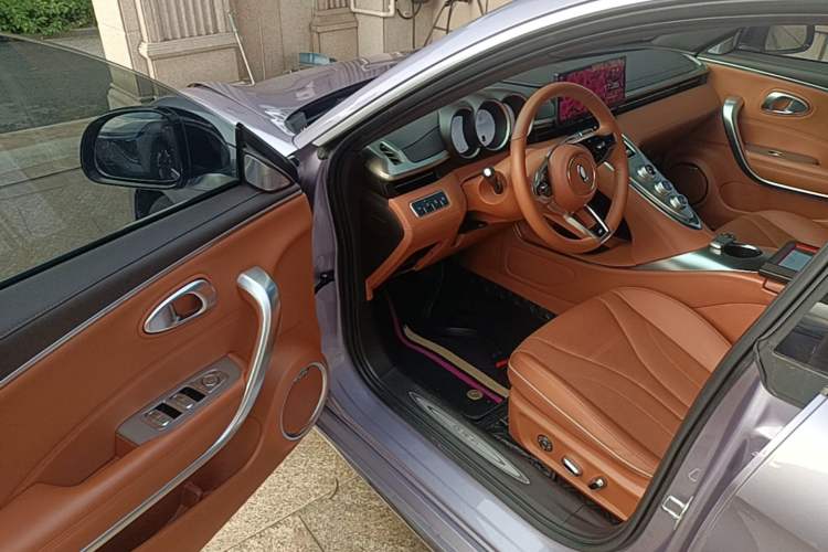 Used ORA Lightning Cat 2022 555 km Luxury Edition Driver Seat