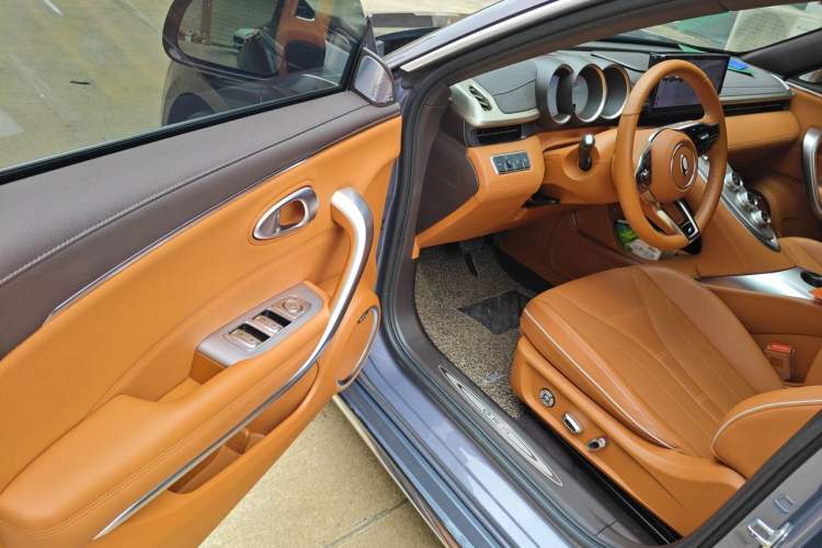 Used ORA Lightning Cat 2022 555 km Luxury Edition Driver Seat