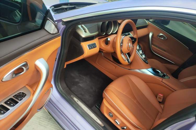 Used ORA Lightning Cat 2022 555 km Luxury Edition Driver Seat
