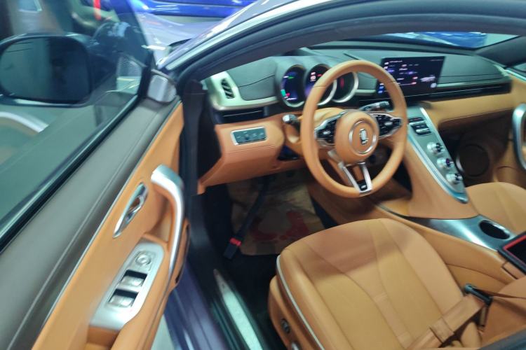 Used ORA Lightning Cat 2022 555 km Luxury Edition Driver Seat