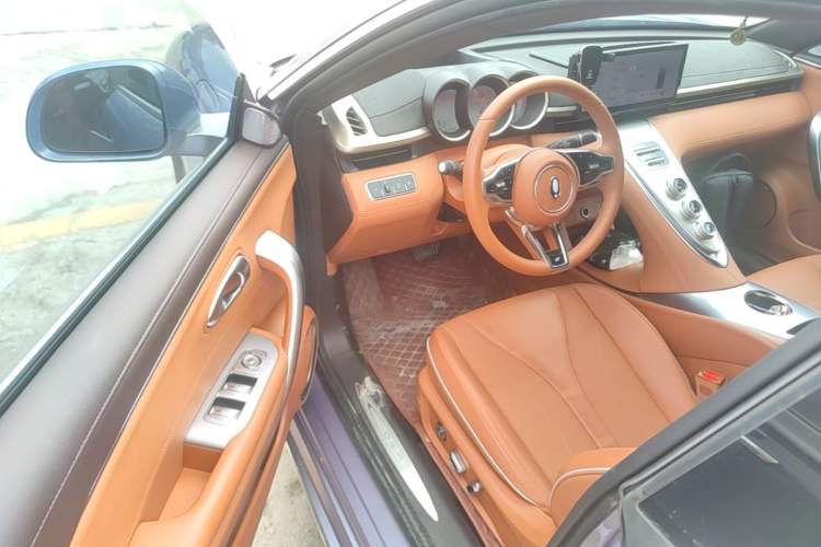 Used ORA Lightning Cat 2022 555 km Luxury Edition Driver Seat