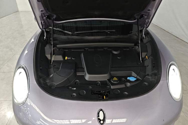 Used ORA Lightning Cat 2022 555 km Luxury Edition Engine Bay