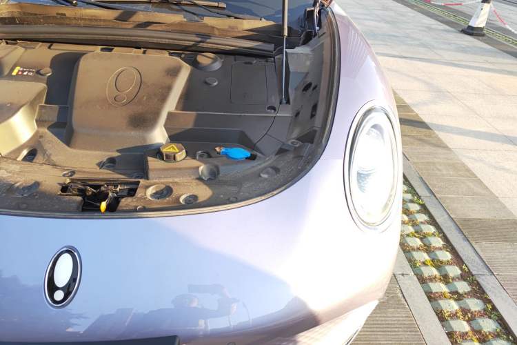 Used ORA Lightning Cat 2022 555 km Luxury Edition Engine Bay Left
