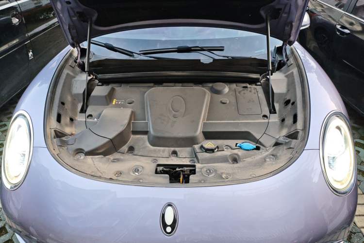 Used ORA Lightning Cat 2022 555 km Luxury Edition Engine Bay