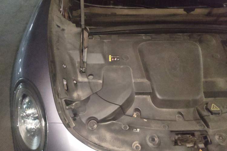 Used ORA Lightning Cat 2022 555 km Luxury Edition Engine Bay Right