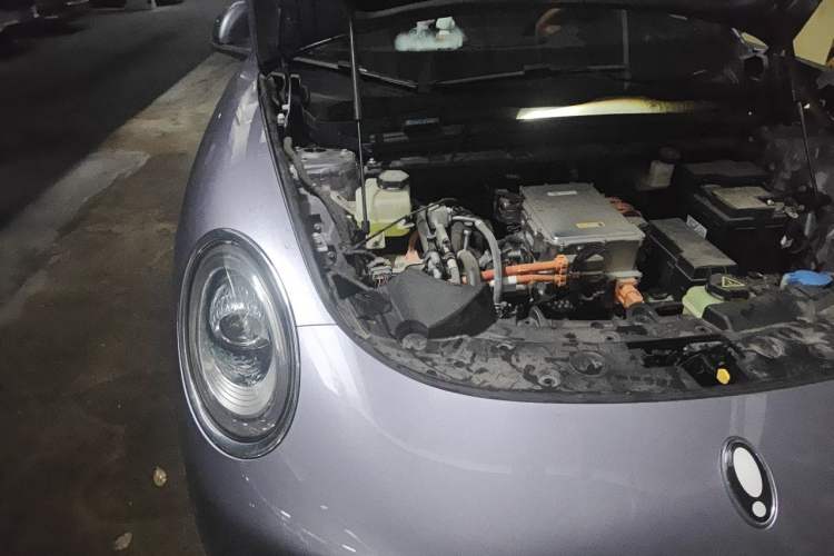 Used ORA Lightning Cat 2022 555 km Luxury Edition Engine Bay Right