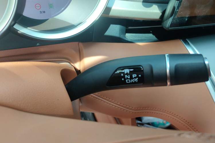 Used ORA Lightning Cat 2022 555 km Luxury Edition Gear Lever