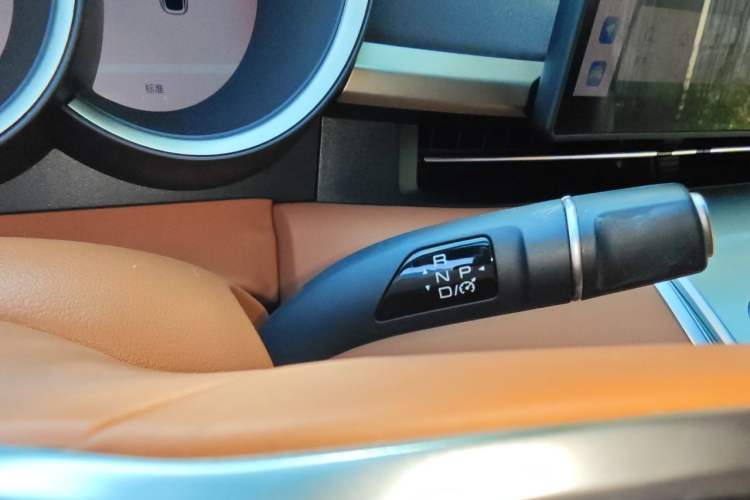 Used ORA Lightning Cat 2022 555 km Luxury Edition Gear Lever