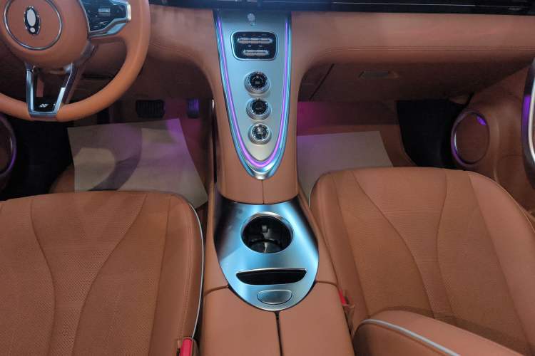 Used ORA Lightning Cat 2022 555 km Luxury Edition Gear Lever