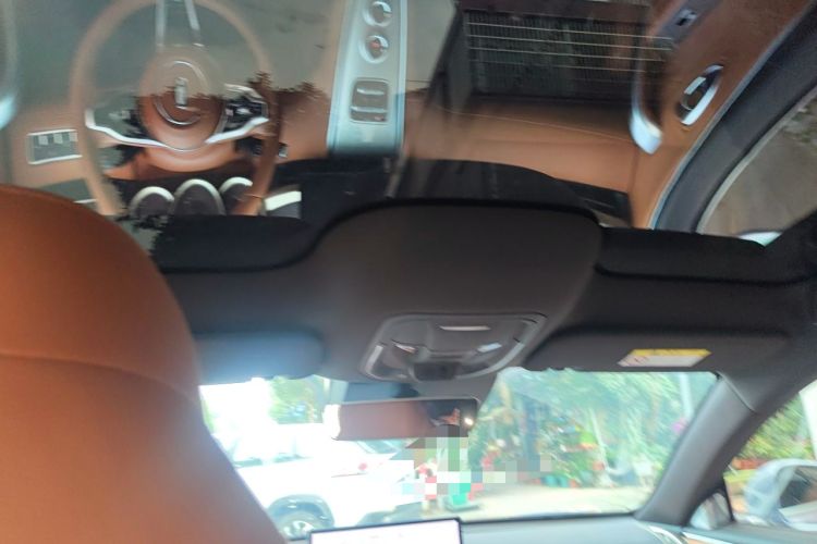Used ORA Lightning Cat 2022 555 km Luxury Edition Headliner