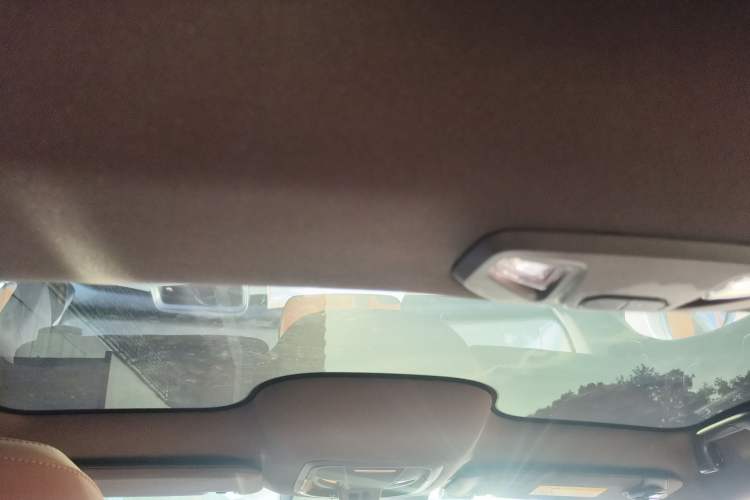 Used ORA Lightning Cat 2022 555 km Luxury Edition Headliner