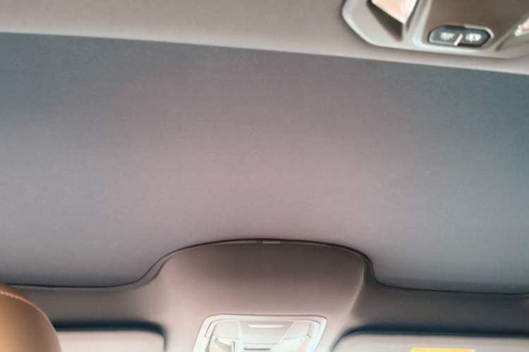 Used ORA Lightning Cat 2022 555 km Luxury Edition Headliner