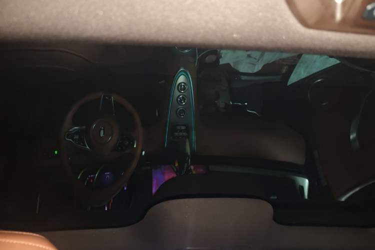 Used ORA Lightning Cat 2022 555 km Luxury Edition Headliner