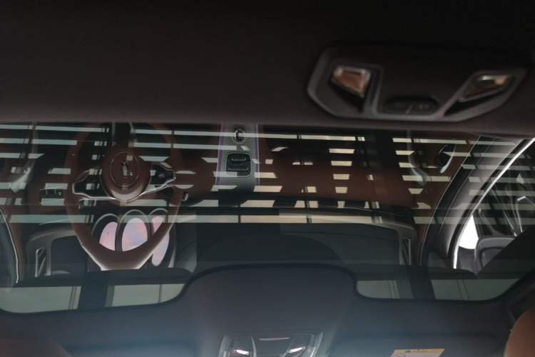 Used ORA Lightning Cat 2022 555 km Luxury Edition Headliner