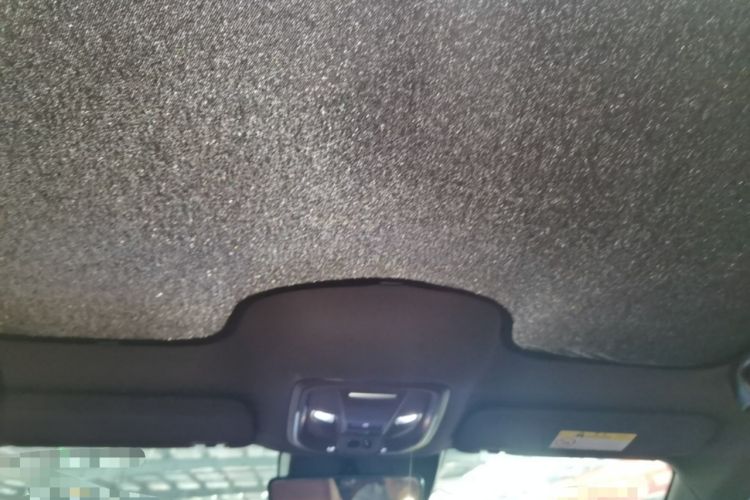 Used ORA Lightning Cat 2022 555 km Luxury Edition Headliner