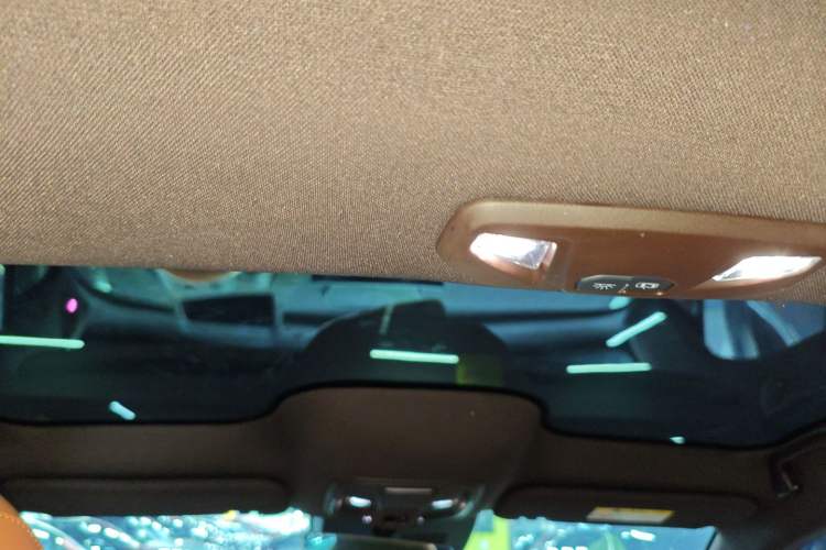 Used ORA Lightning Cat 2022 555 km Luxury Edition Headliner