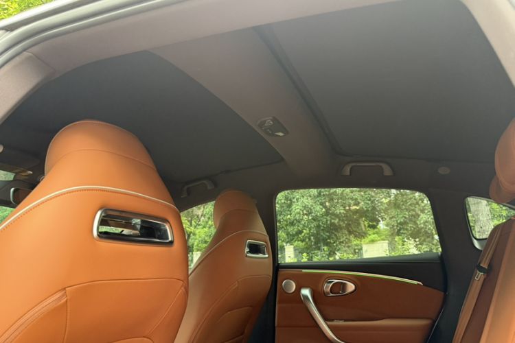 Used ORA Lightning Cat 2022 555 km Luxury Edition Headliner
