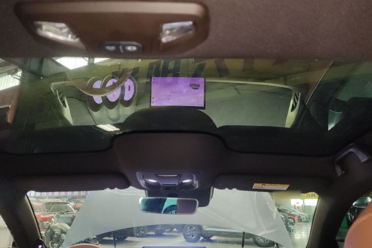 Used ORA Lightning Cat 2022 600 km All-Wheel Drive High-Performance Version Headliner