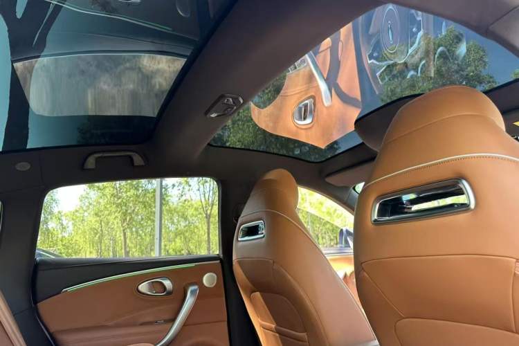 Used ORA Lightning Cat 2022 555 km Luxury Edition Headliner