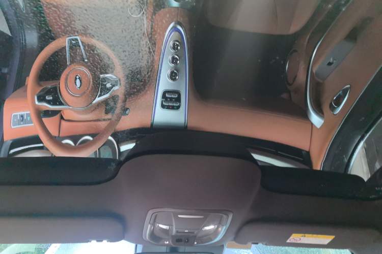 Used ORA Lightning Cat 2022 555 km Luxury Edition Headliner