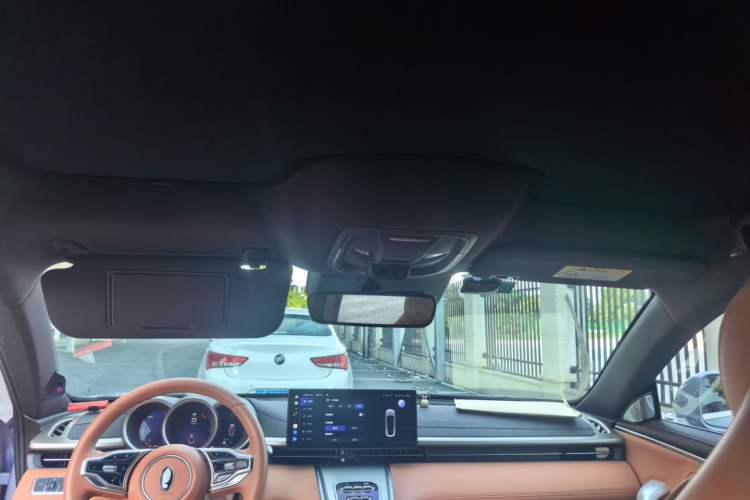 Used ORA Lightning Cat 2022 555 km Luxury Edition Headliner