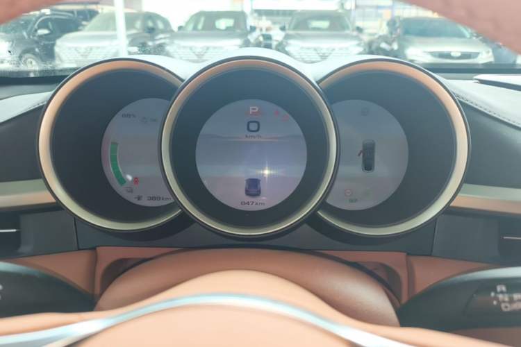 Used ORA Lightning Cat 2022 555 km Luxury Edition Instrument Cluster